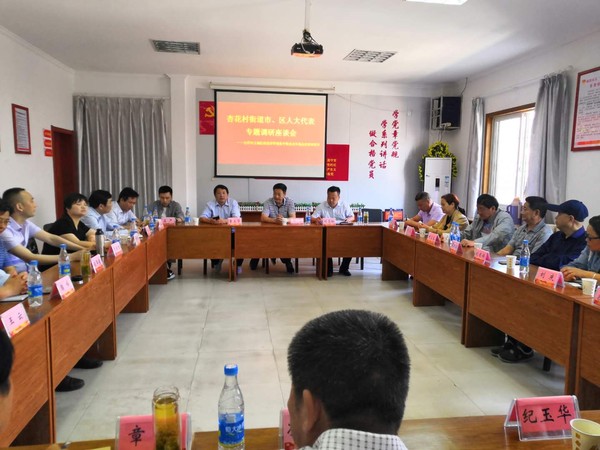20190522杏花村街道组织人大代表开展专题调研活动2.jpg
