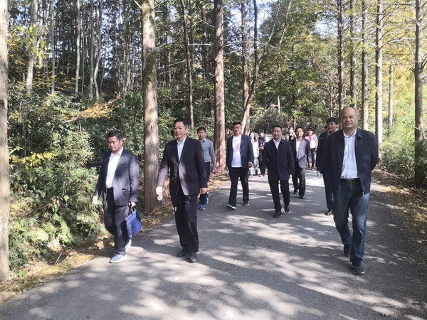 20191030池州市四届人大驻贵池区第四代表小组开展文化旅游业态发展专题调研.jpg