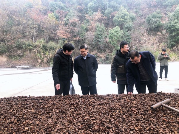 代表调研2.jpg
