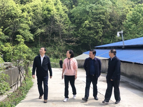 谢调研.jpg