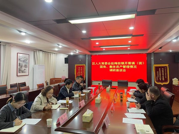 梅街镇国有资产.png