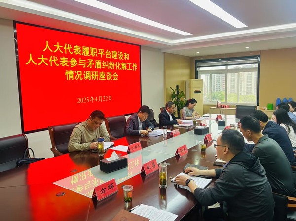 市人大常委会来区开展人大代表履职平台.png