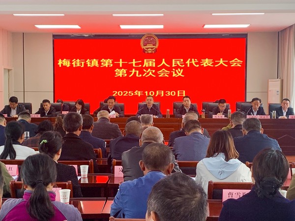 梅街镇人代会1.png