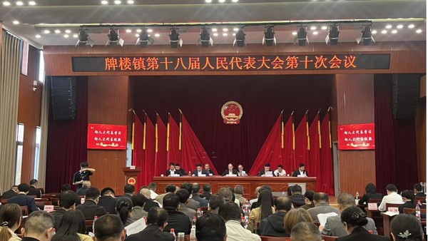 4.17牌楼镇人代会.png