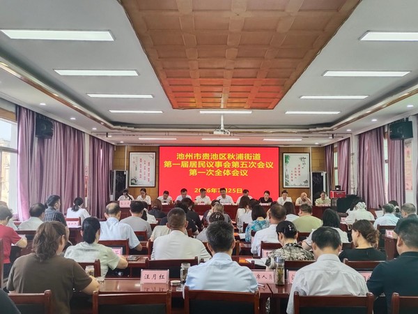 秋浦街道议事会会议.png