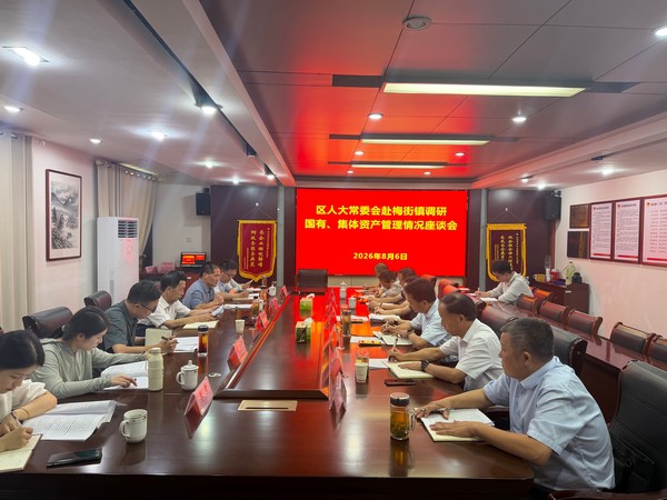 丁英理赴梅街镇.png